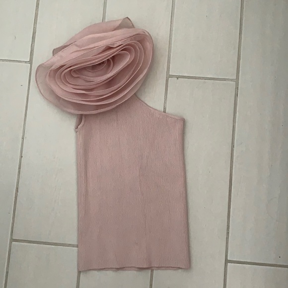 Zara Tops - Zara blush top with rose